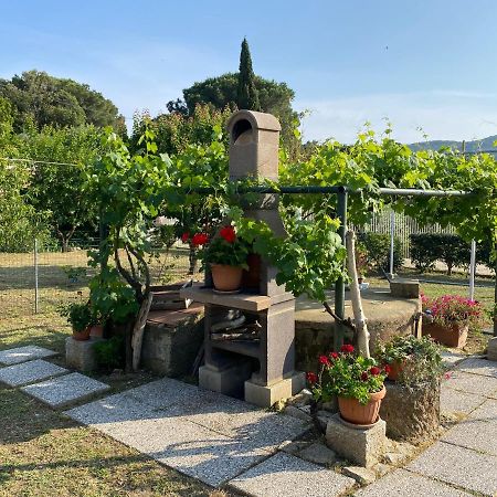 Villetta Di Rosa 普罗基奥 外观 照片